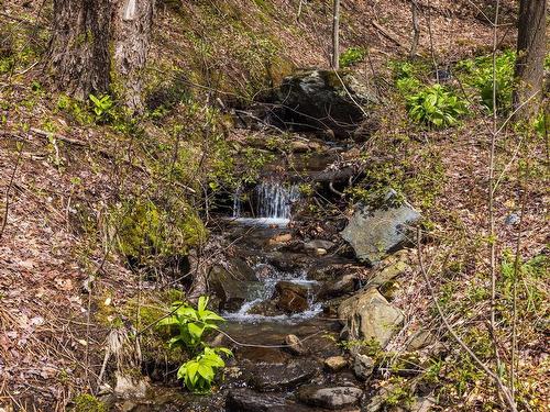 ExtÃ©rieur - 6 Ch. Du Vallon, Bolton-Ouest, QC - Outdoor