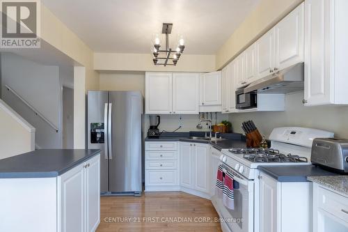 203 Emerald Road, London, ON - Indoor Photo Showing Kitchen With Double Sink