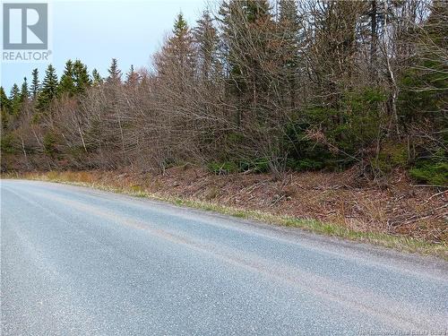 88-101 Bunker Hill, Campobello Island, NB 