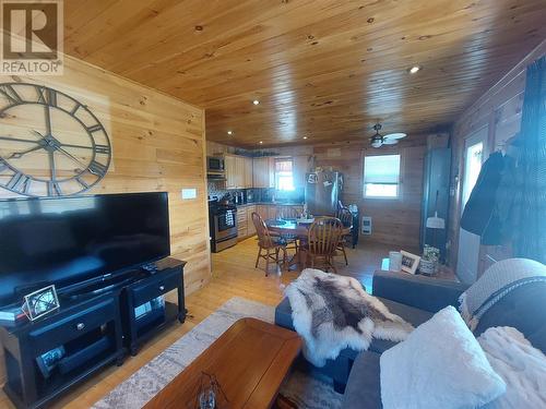 55 World Pond Road, Port Rexton, NL - Indoor Photo Showing Living Room