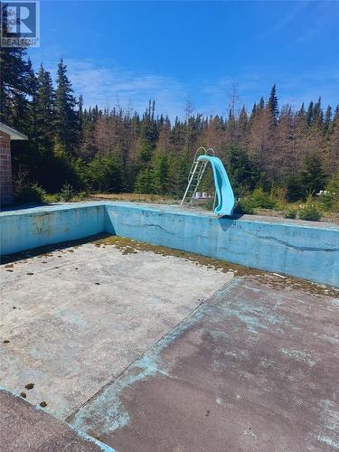 55 World Pond Road, Port Rexton, NL - Outdoor With In Ground Pool