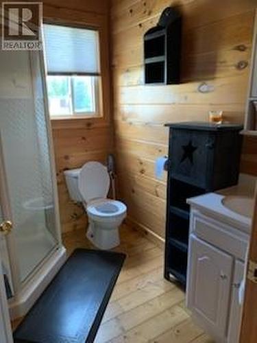 55 World Pond Road, Port Rexton, NL - Indoor Photo Showing Bathroom