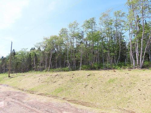 Lot 20 Perry Lane, Lennox Passage, NS 