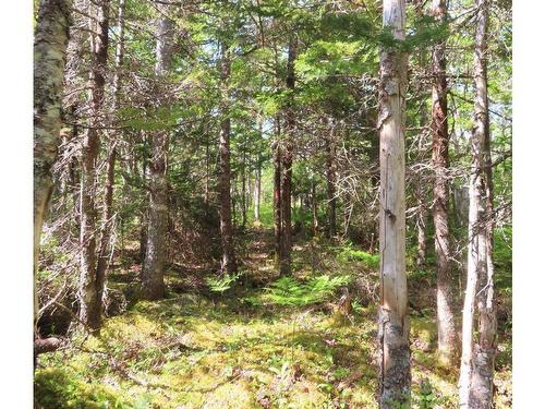 Lot 20 Perry Lane, Lennox Passage, NS 