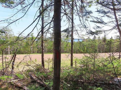 Lot 20 Perry Lane, Lennox Passage, NS 