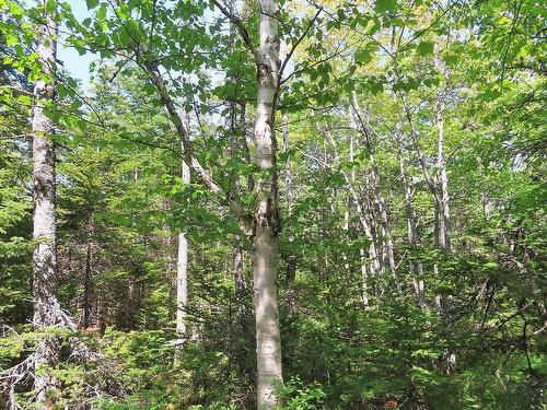 Lot 20 Perry Lane, Lennox Passage, NS 