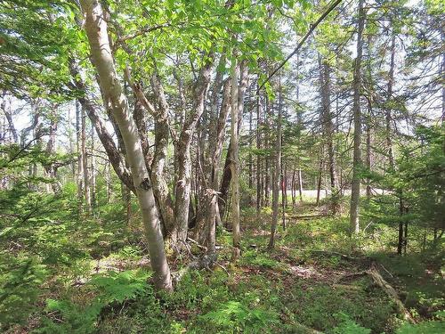 Lot 20 Perry Lane, Lennox Passage, NS 