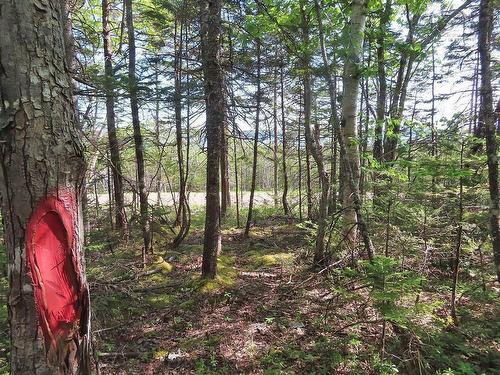 Lot 20 Perry Lane, Lennox Passage, NS 