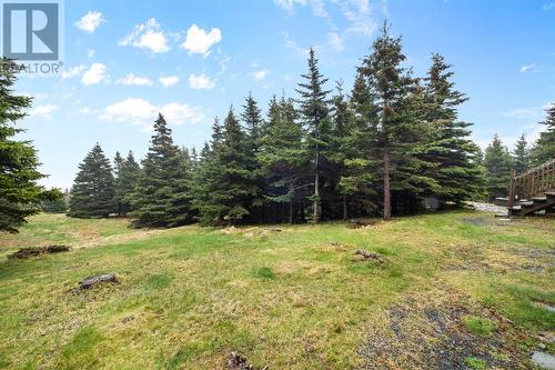 12 Uncle Jim'S Place, Flatrock, NL - Outdoor With View