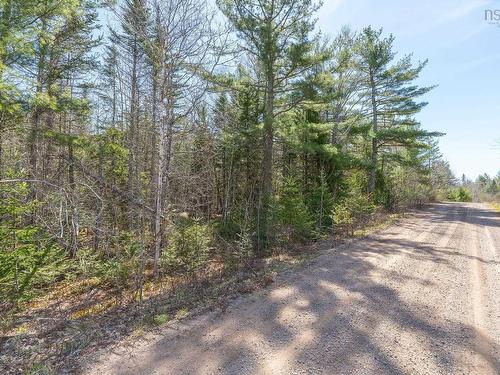 Lot 77 Waterloo Avenue, Waterloo Lake, NS 