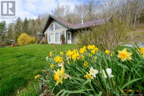 264 West Tennants Cove Road, Kars, NB - Outdoor