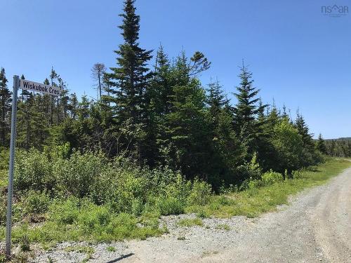 Soonul Lane, Clam Bay, NS 