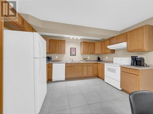 198 Ellison Avenue, Leamington, ON - Indoor Photo Showing Kitchen With Double Sink