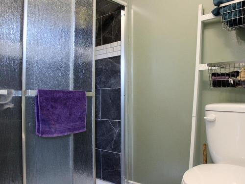 205 Second Street, Rainy River, ON - Indoor Photo Showing Bathroom