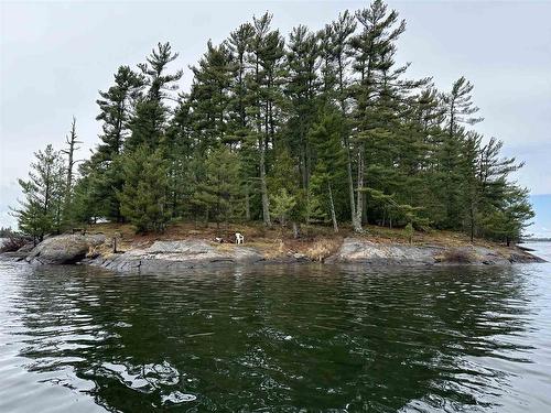 20729 Island 6, Fort Frances, ON - Outdoor With Body Of Water With View