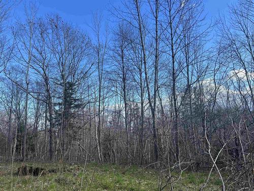 Lot 2-1-B Seaview Cemetary Road, Bay View, NS 