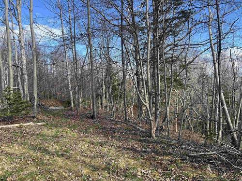 Lot 2-1-B Seaview Cemetary Road, Bay View, NS 