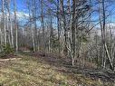 Lot 2-1-B Seaview Cemetary Road, Bay View, NS 