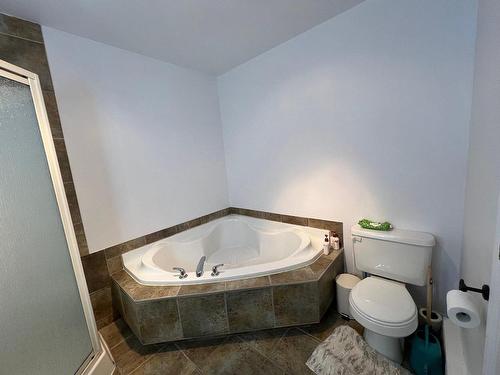 Salle de bains - 294 Rue Réaumur, Laval (Auteuil), QC - Indoor Photo Showing Bathroom