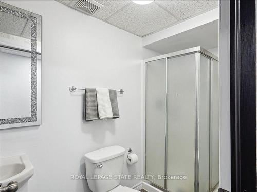 90 Marriott Pl, Brant, ON - Indoor Photo Showing Bathroom