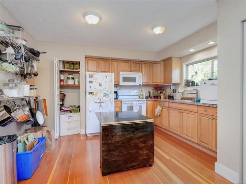 355 Richmond Ave, Victoria, BC - Indoor Photo Showing Kitchen With Double Sink