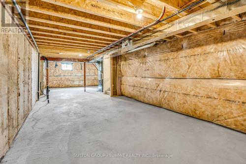 60 Hager Creek Terrace, Hamilton, ON - Indoor Photo Showing Basement
