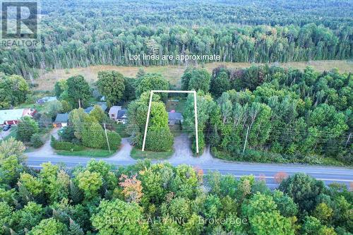 27640 Highway 28 S, Bancroft, ON - Outdoor With View