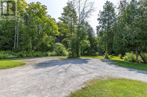 4267 County Rd 32, Douro-Dummer, ON - Outdoor With View