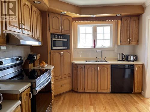 17 Brown Crescent, Gander, NL - Indoor Photo Showing Kitchen With Double Sink