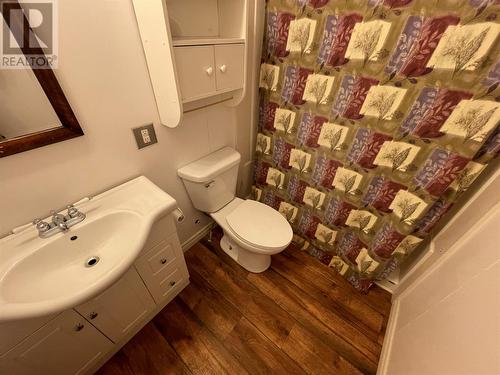 507 Main Street, Bishop'S Falls, NL - Indoor Photo Showing Bathroom