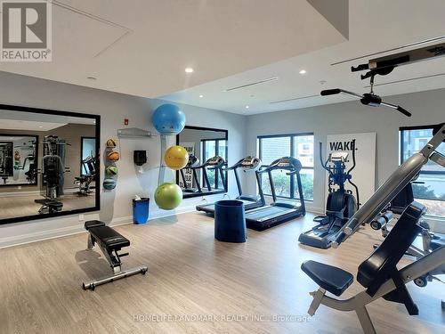 310 - 102 Grovewood Common, Oakville, ON - Indoor Photo Showing Gym Room