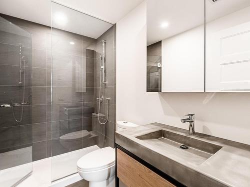 Ensuite bathroom - 303-112 Ch. De La Pointe-Nord, Montréal (Verdun/Île-Des-Soeurs), QC - Indoor Photo Showing Bathroom