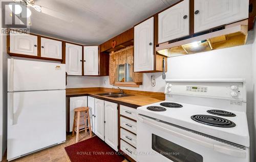 18 Circle Drive, Kawartha Lakes, ON - Indoor Photo Showing Kitchen With Double Sink