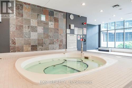 730 - 231 Fort York Boulevard, Toronto, ON - Indoor Photo Showing Other Room With In Ground Pool