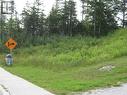 196 Massey Drive, Massey Drive, NL 