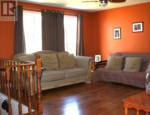 23 Lower Cove Road, Mcivers, NL - Indoor Photo Showing Living Room