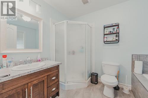 10 Country Path Drive, Witless Bay, NL - Indoor Photo Showing Bathroom