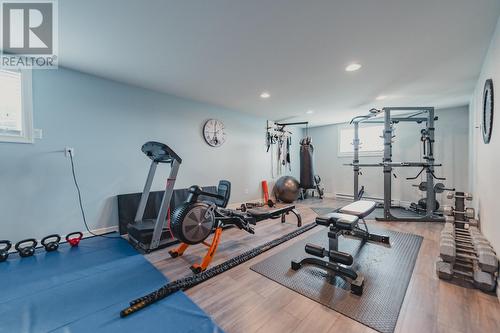 10 Country Path Drive, Witless Bay, NL - Indoor Photo Showing Gym Room
