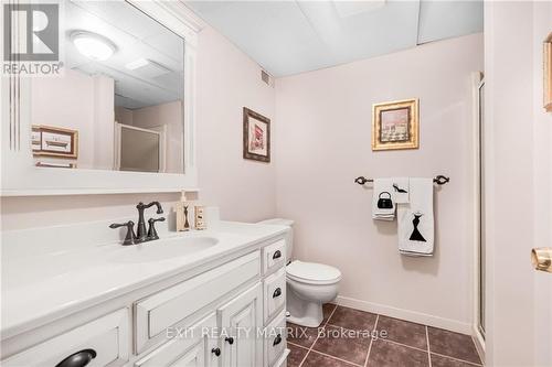 9 Landriault Street, Prescott And Russell, ON - Indoor Photo Showing Bathroom