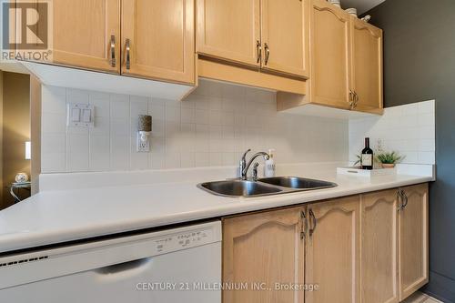 6 - 175 Fiddlers Green Road, Hamilton, ON - Indoor Photo Showing Kitchen With Double Sink