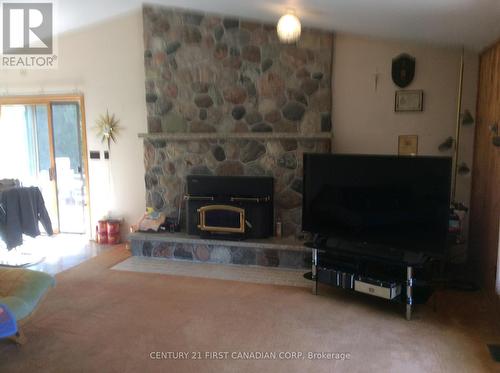 421 Warnerbay Road, Northern Bruce Peninsula, ON - Indoor Photo Showing Living Room With Fireplace