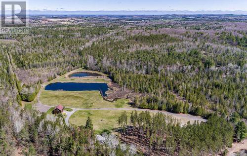 67 Telecom Road, Kawartha Lakes, ON - Outdoor With View