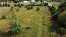 Pt Lot 23 Dejong Road, Brockville, ON 