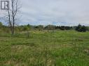 Pt Lot 23 Dejong Road, Brockville, ON 