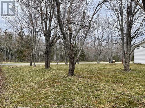 120 St Pierre, Rogersville, NB - Outdoor With View