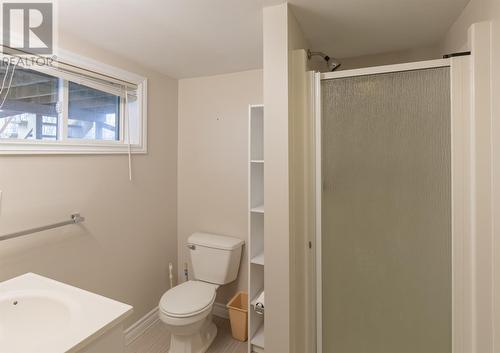 38 Howley Avenue Extension, St John'S, NL - Indoor Photo Showing Bathroom