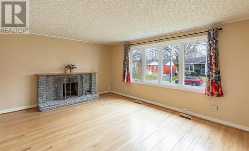 38 Howley Avenue Extension, St John'S, NL - Indoor Photo Showing Living Room With Fireplace
