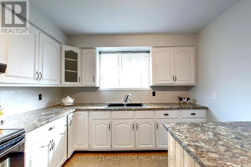 396 Walnut Street, Collingwood, ON - Indoor Photo Showing Kitchen With Double Sink