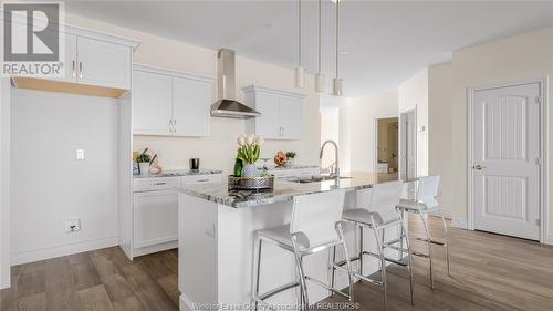 164 Mclellan Avenue Unit# 221B, Amherstburg, ON - Indoor Photo Showing Kitchen With Upgraded Kitchen