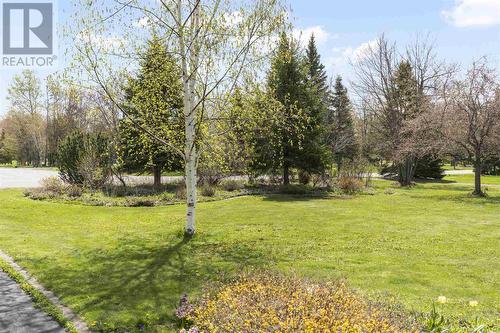 111 Palomino Dr, Sault Ste. Marie, ON - Outdoor With View
